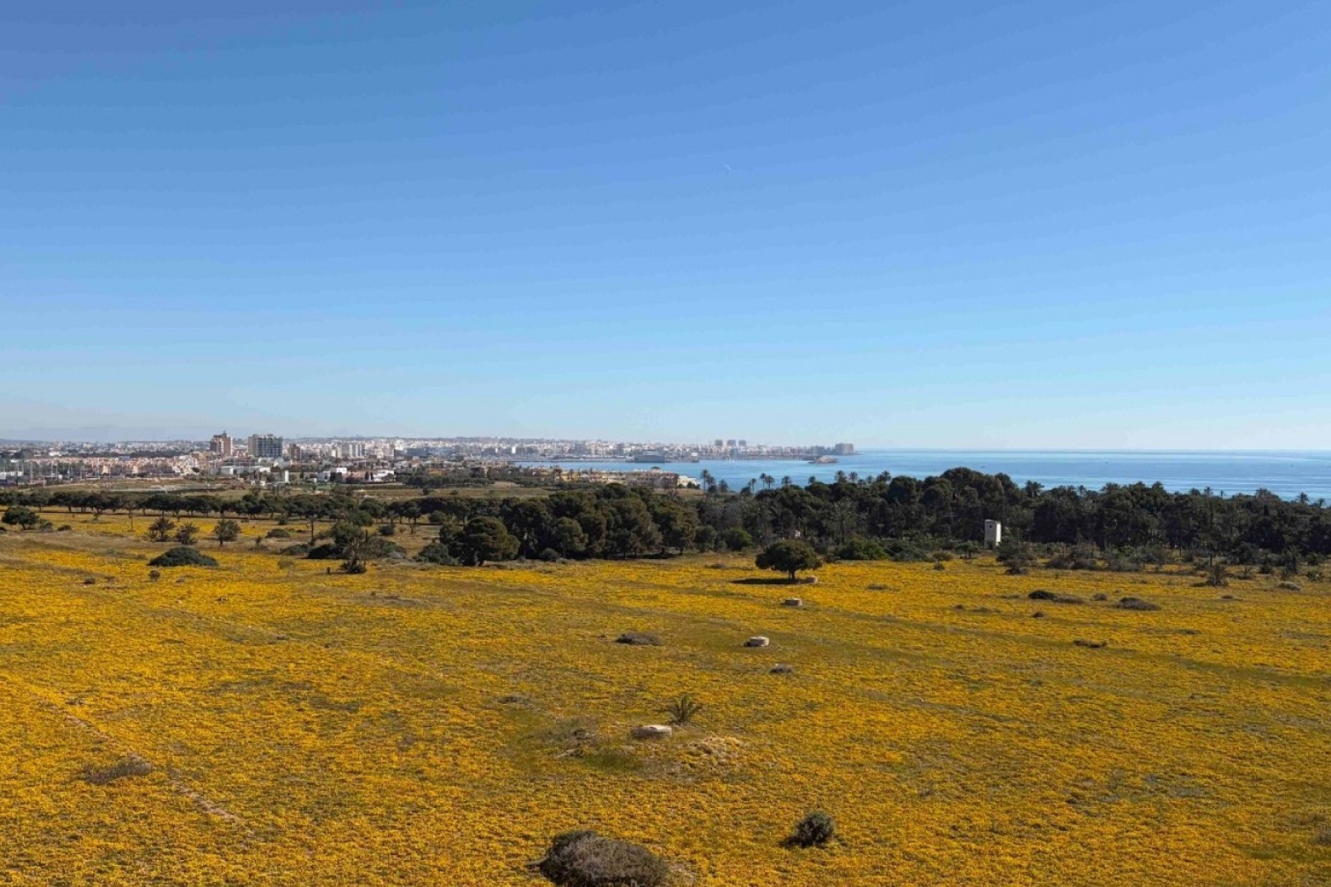 Revente - Appartement -
Orihuela Costa - Punta Prima
