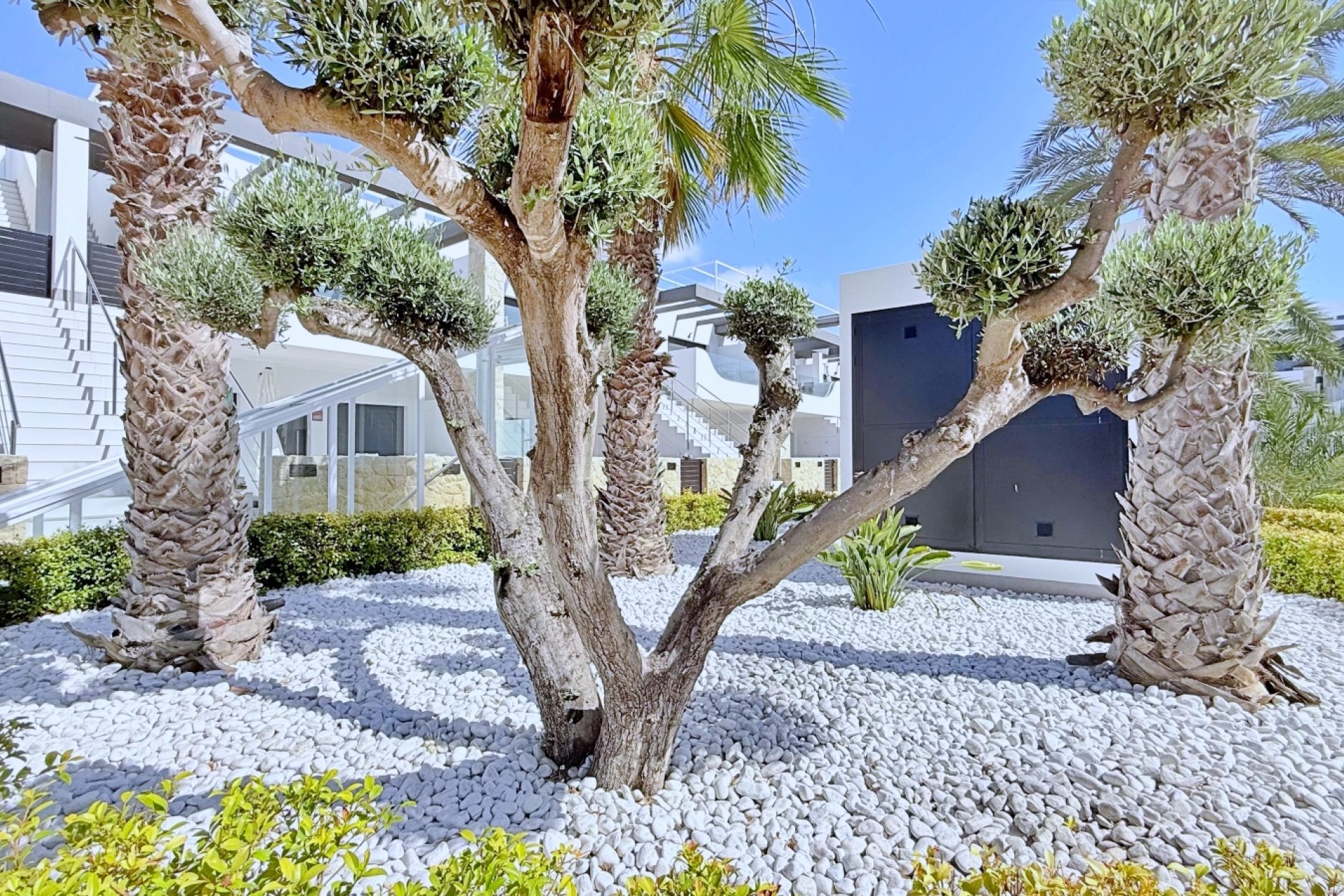 Revente - Appartement -
Orihuela Costa