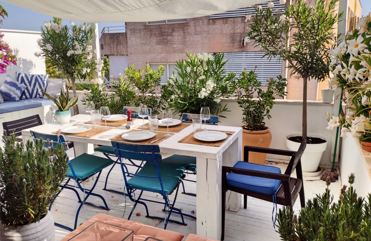 Revente - Appartement -
Palma