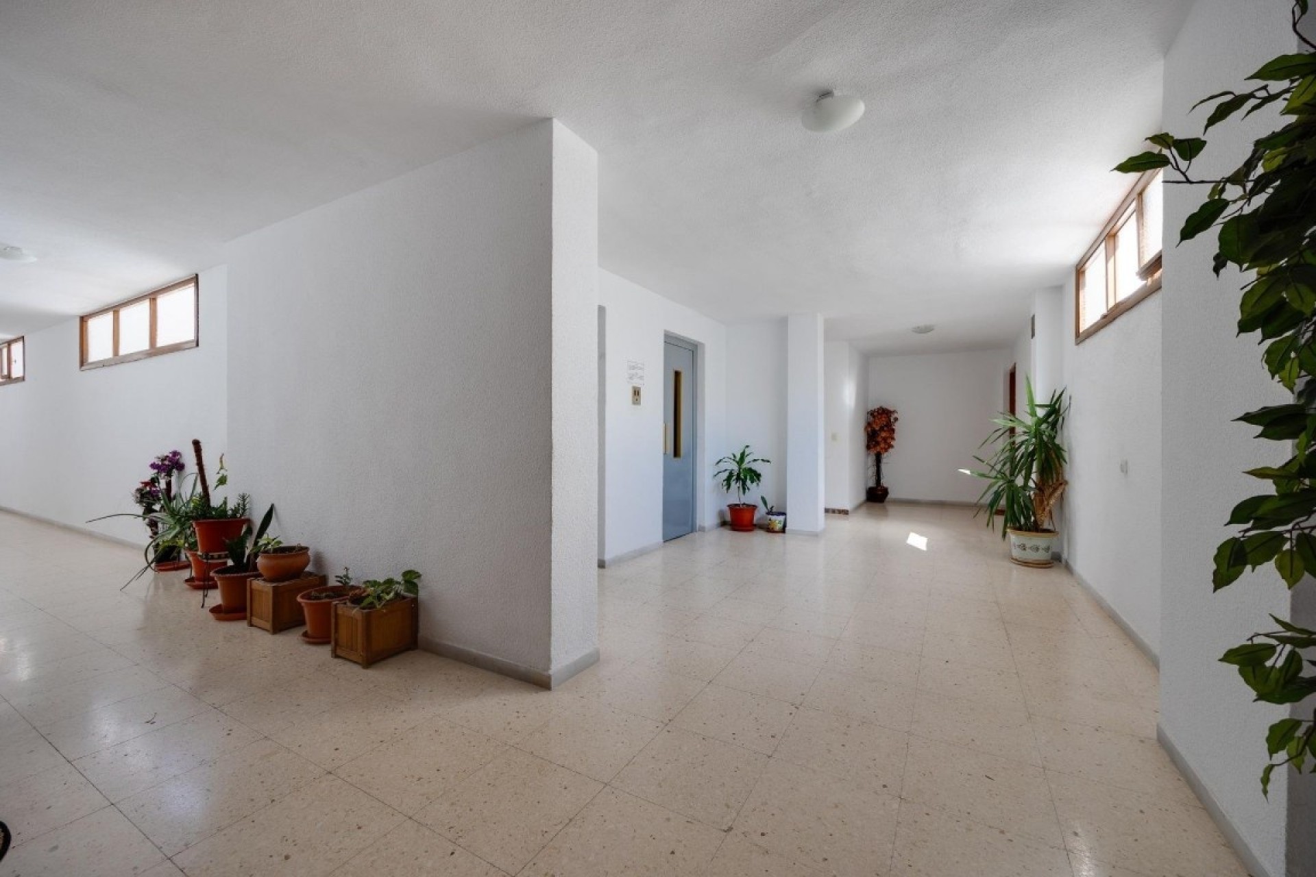 Revente - Appartement -
Playa del Acequion