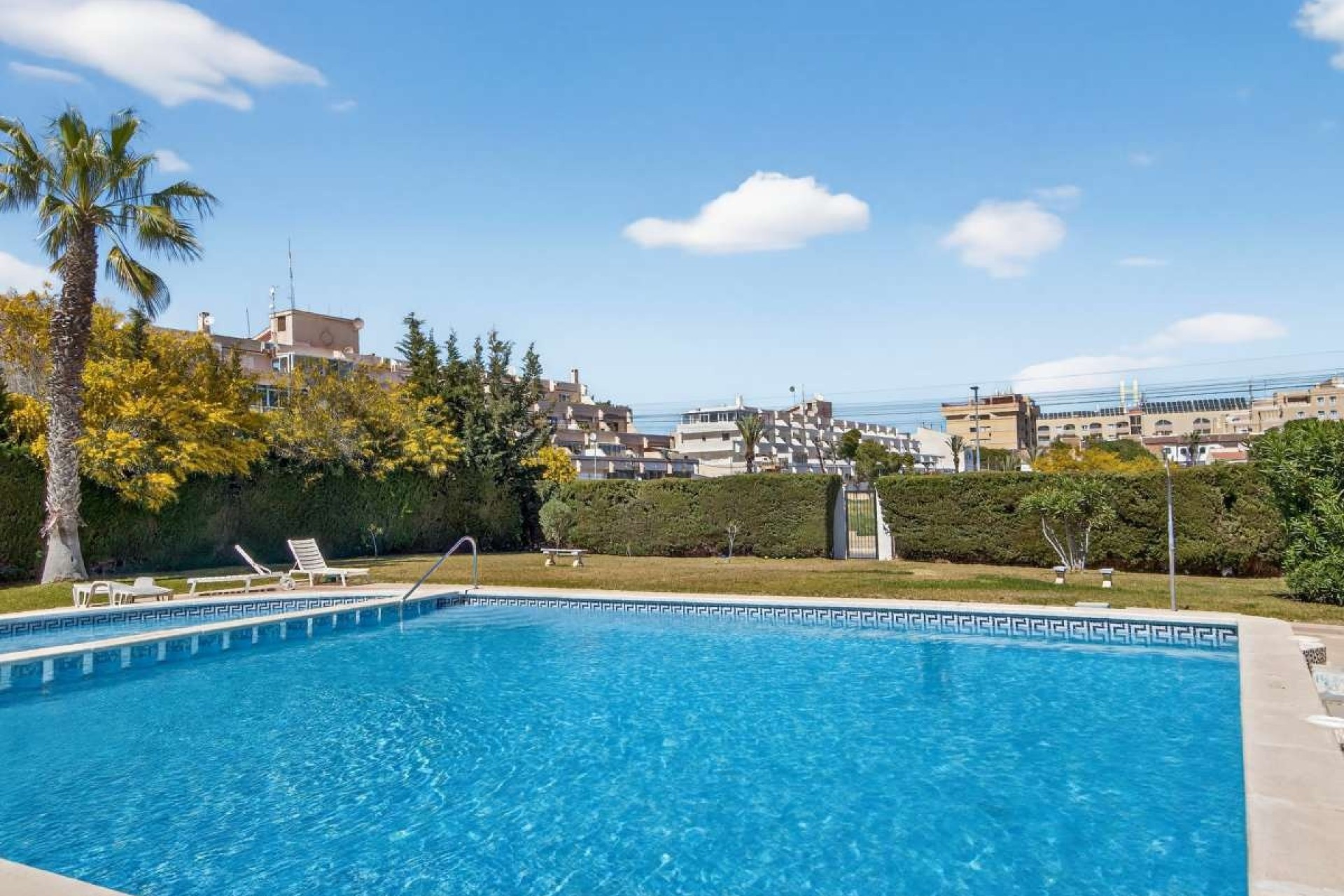 Revente - Appartement -
Punta Prima - Costa Blanca