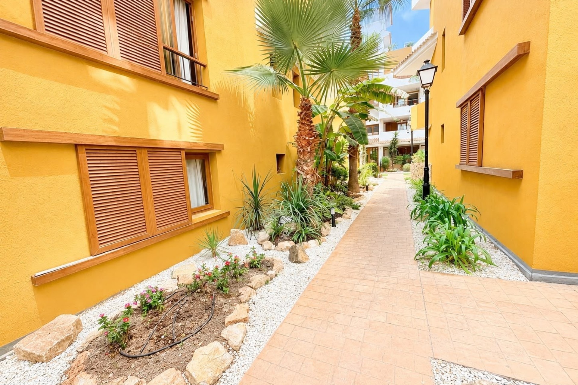 Revente - Appartement -
Punta Prima