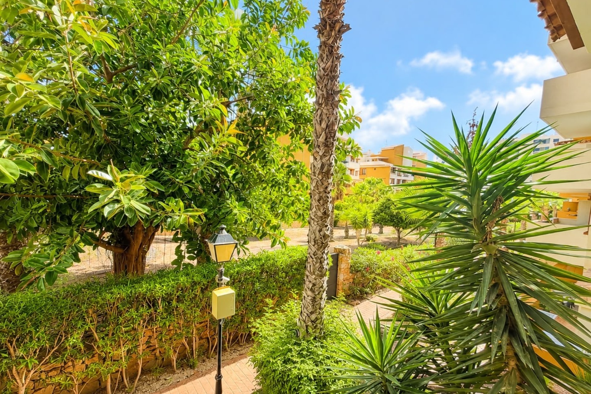 Revente - Appartement -
Punta Prima