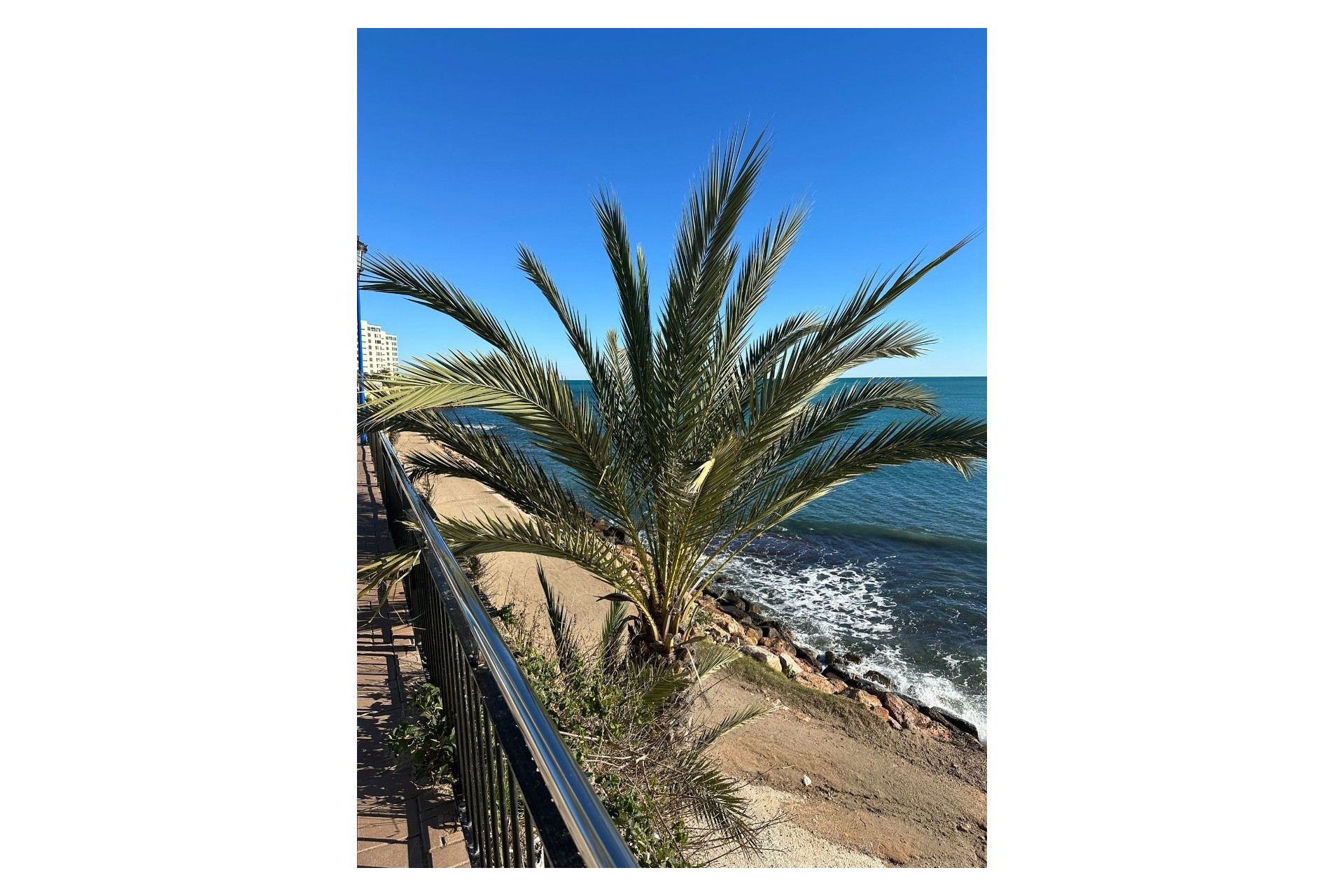 Revente - Appartement -
Punta Prima