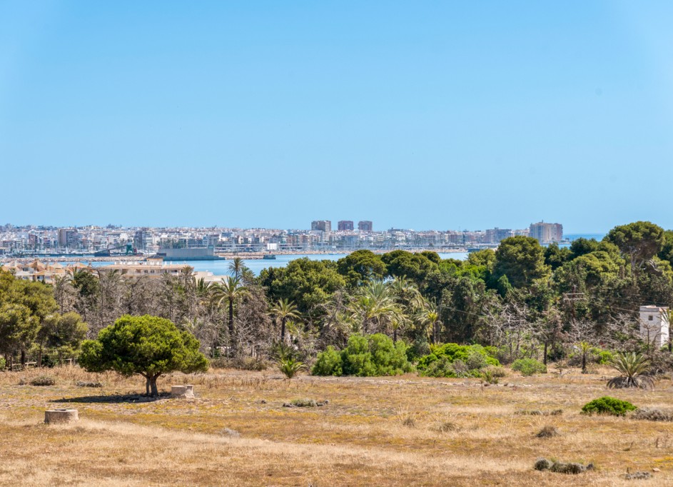 Revente - Appartement -
Punta Prima