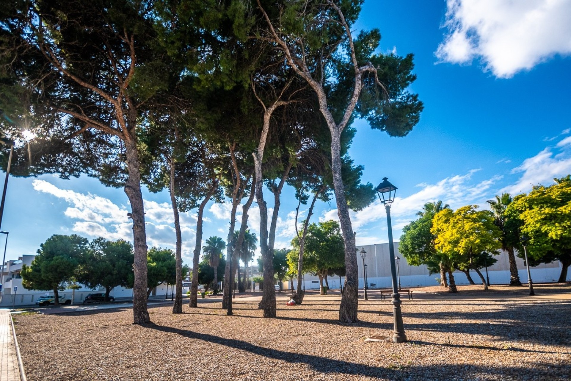 Revente - Appartement -
San Pedro del Pinatar