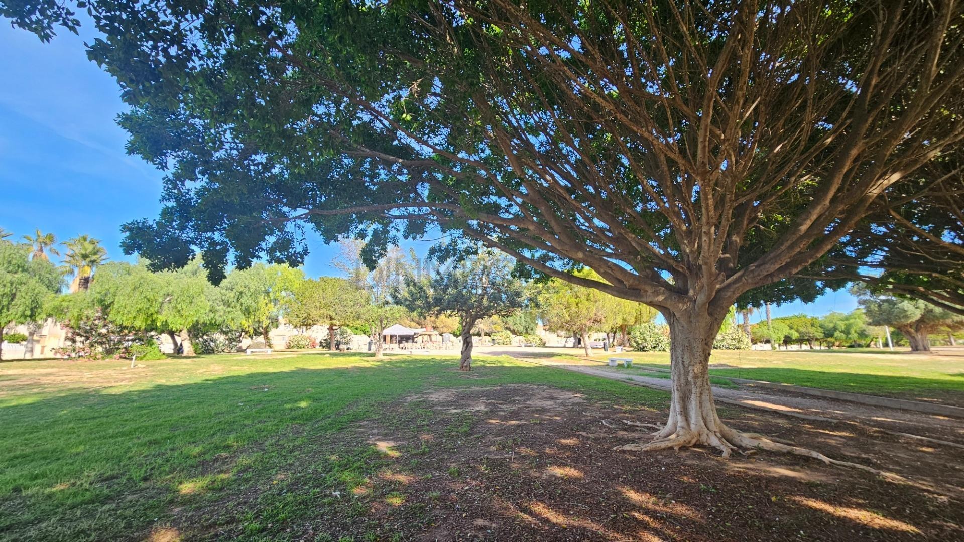 Revente - Appartement -
Torrevieja - Aguas Nuevas