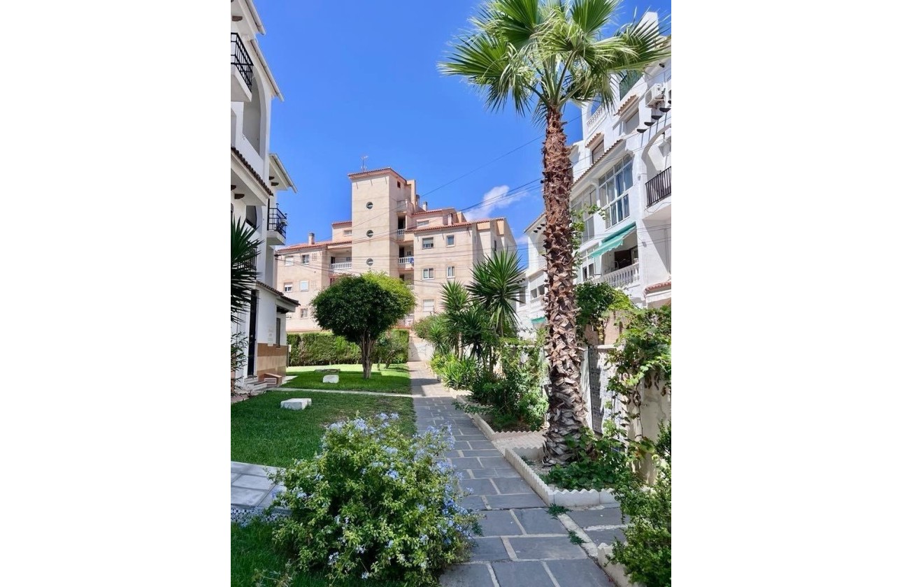 Revente - Appartement -
Torrevieja - Calas blanca