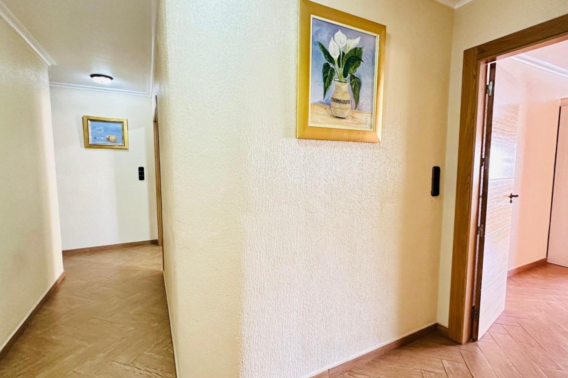 Revente - Appartement -
Torrevieja - Center