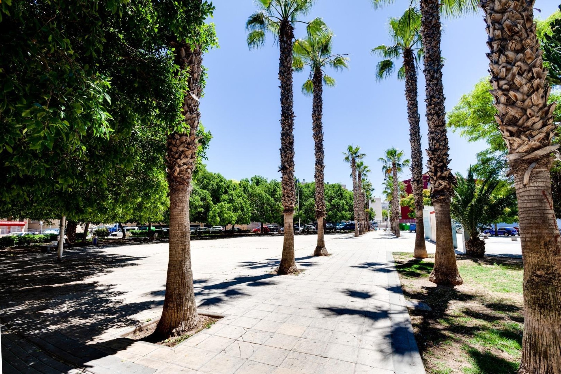 Revente - Appartement -
Torrevieja - Center