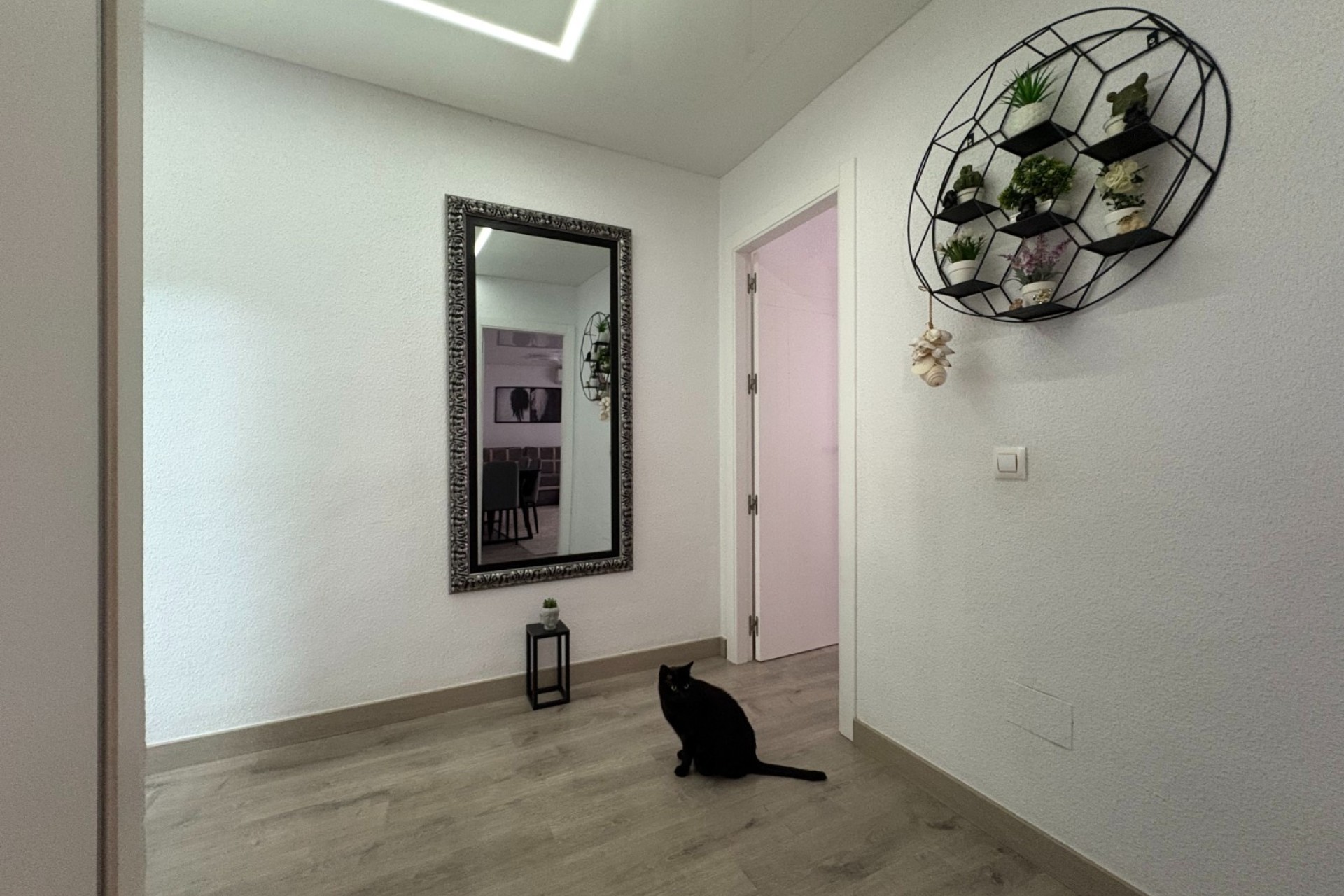 Revente - Appartement -
Torrevieja - Centro