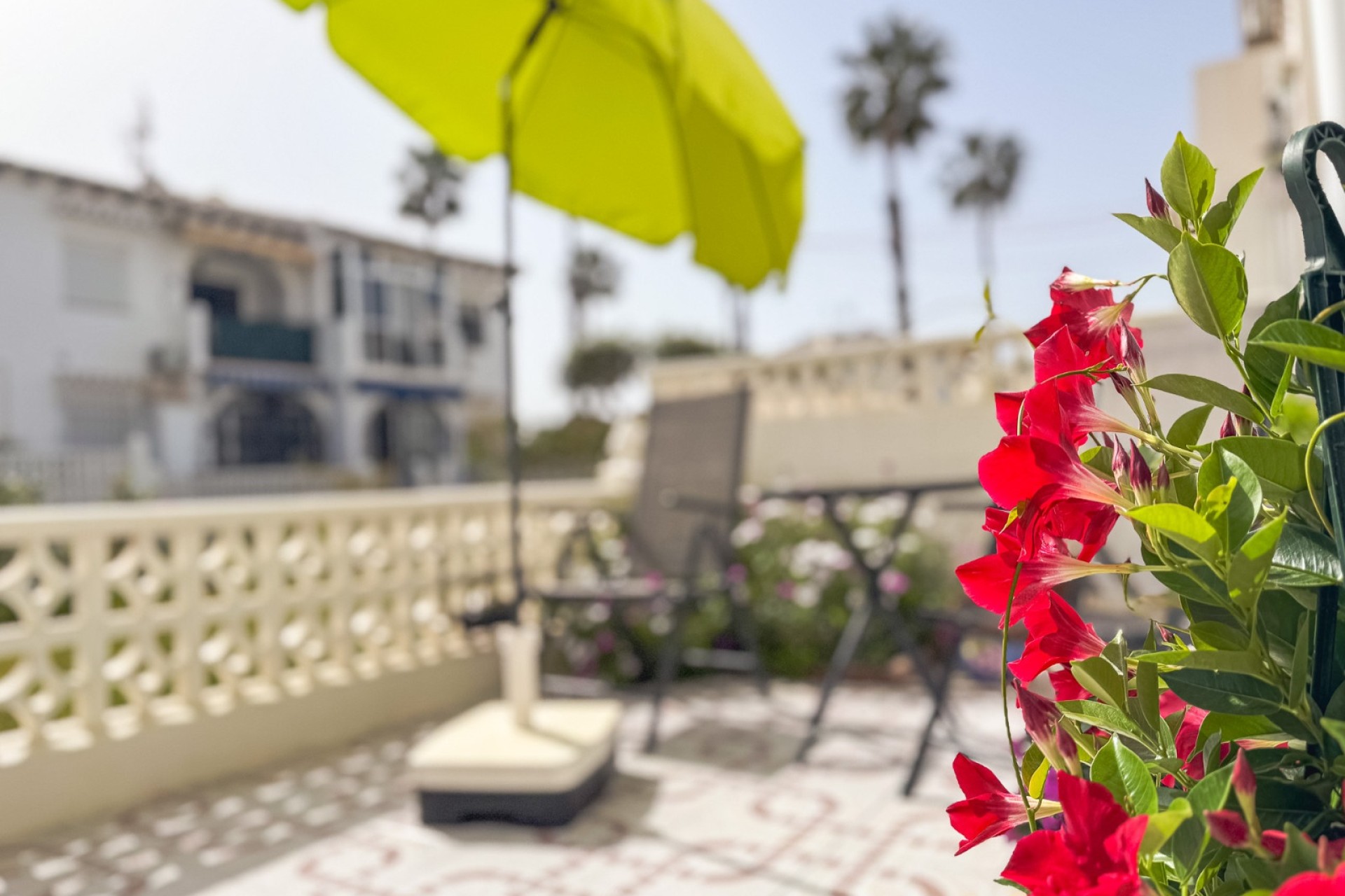 Revente - Appartement -
Torrevieja - Costa Blanca