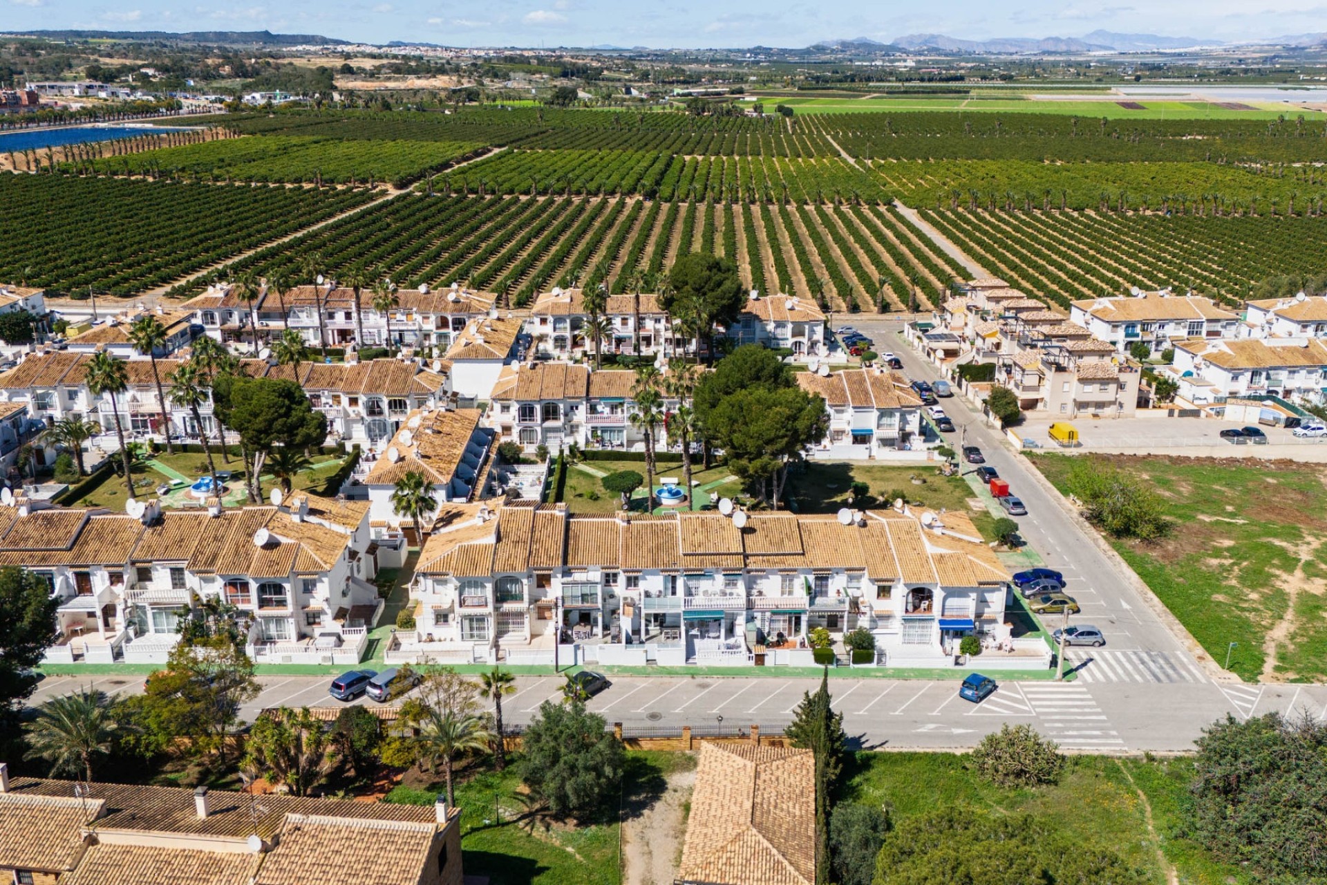 Revente - Appartement -
Torrevieja - Costa Blanca