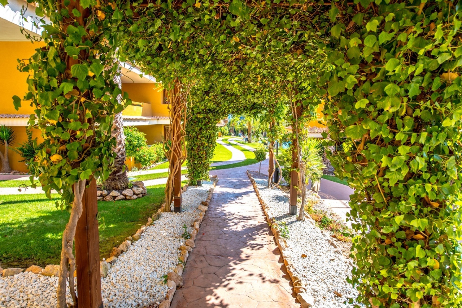 Revente - Appartement -
Torrevieja - Costa Blanca