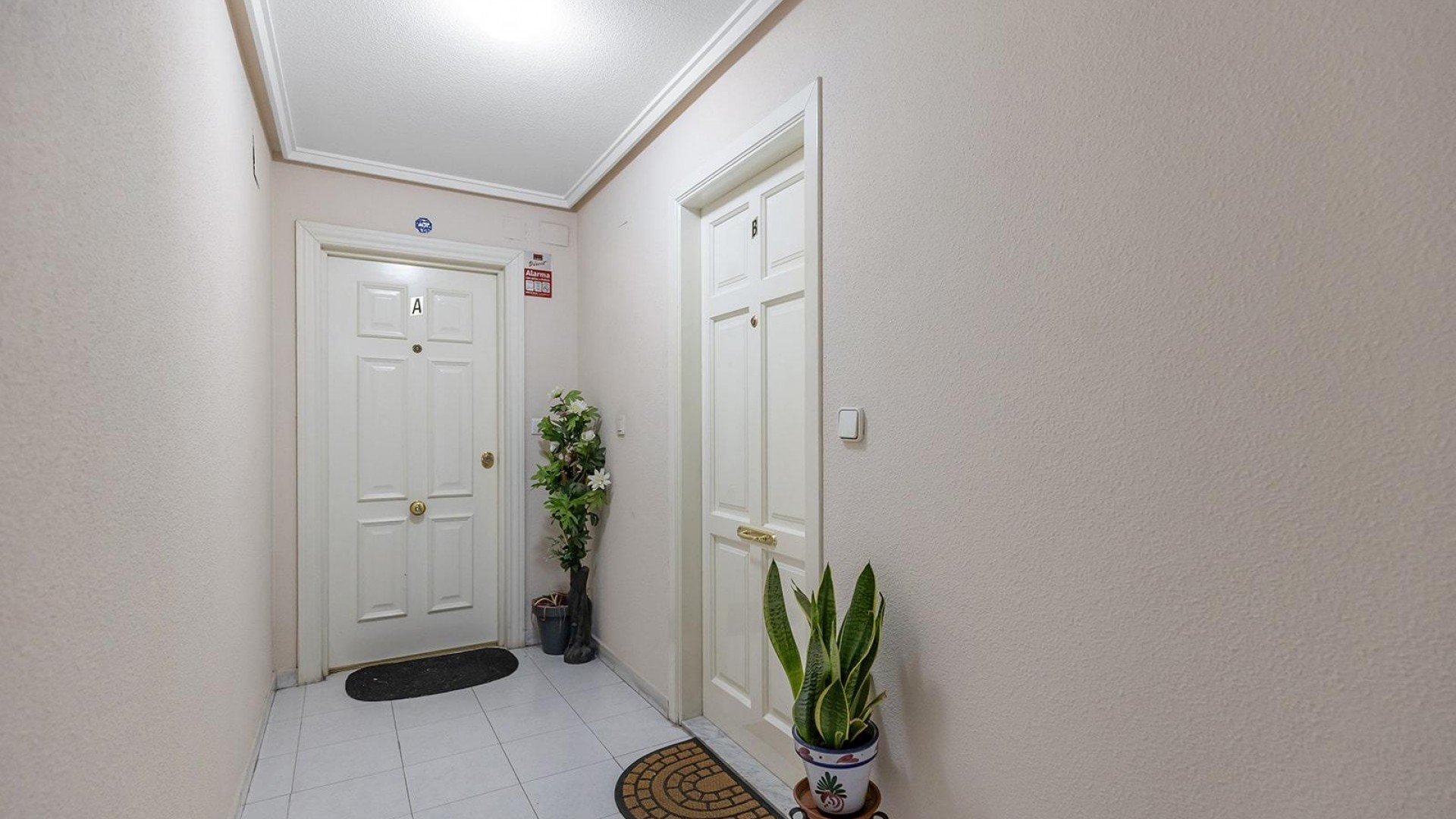 Revente - Appartement -
Torrevieja - Estacion de autobuses