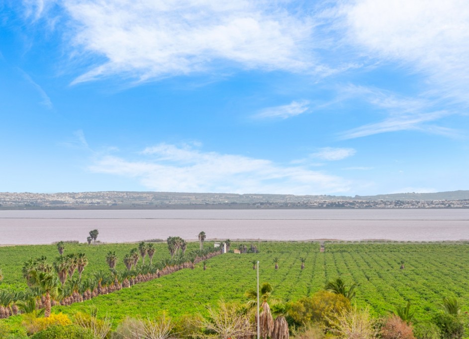 Revente - Appartement -
Torrevieja - Los Balcones