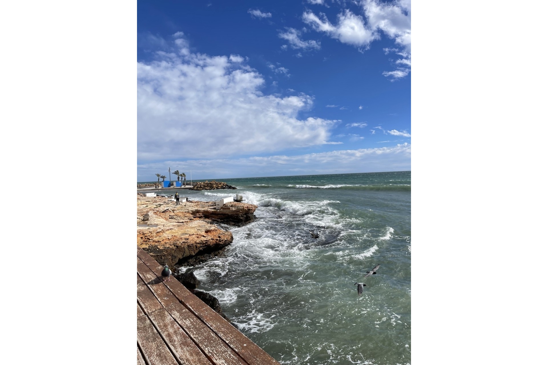 Revente - Appartement -
Torrevieja - Playa de cura