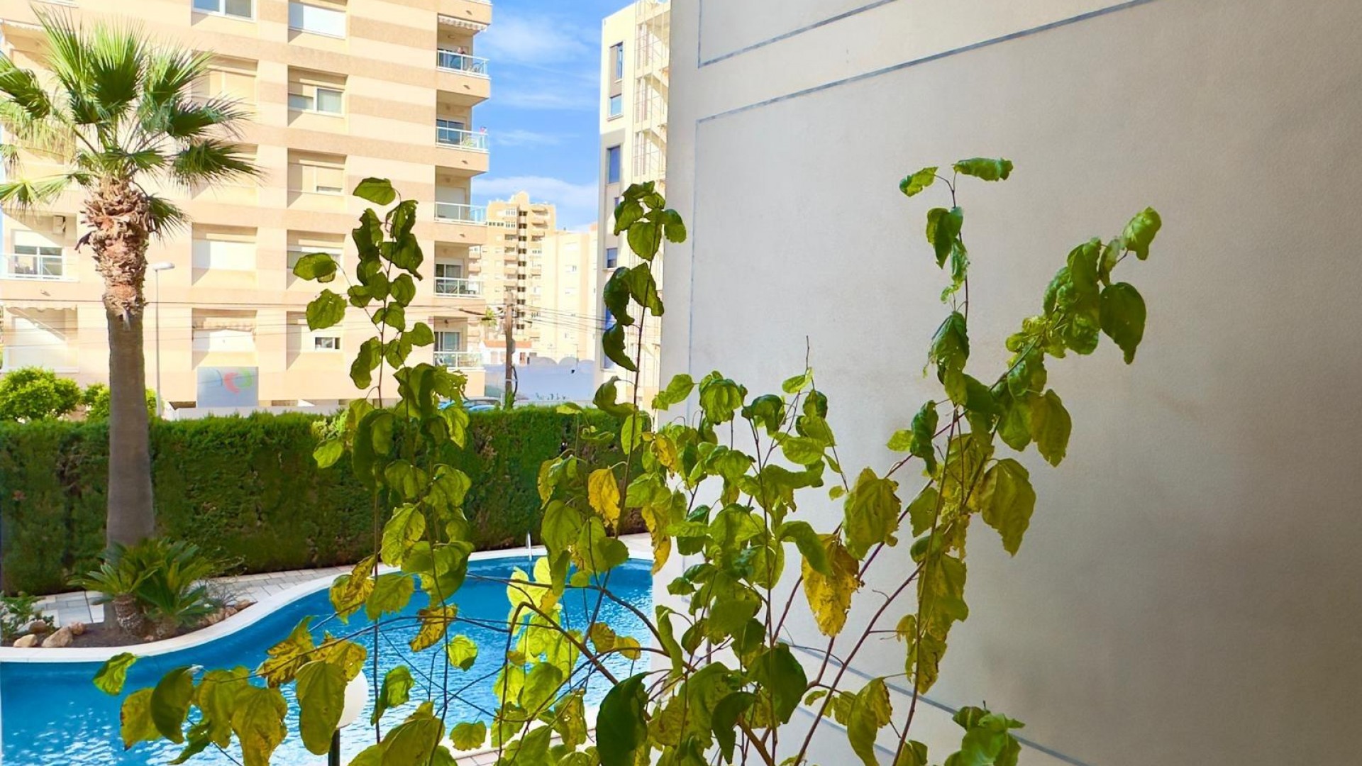 Revente - Appartement -
Torrevieja - Playa del cura