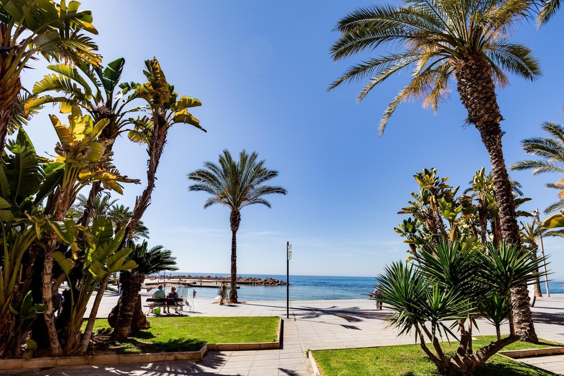 Revente - Appartement -
Torrevieja - Playa del Cura
