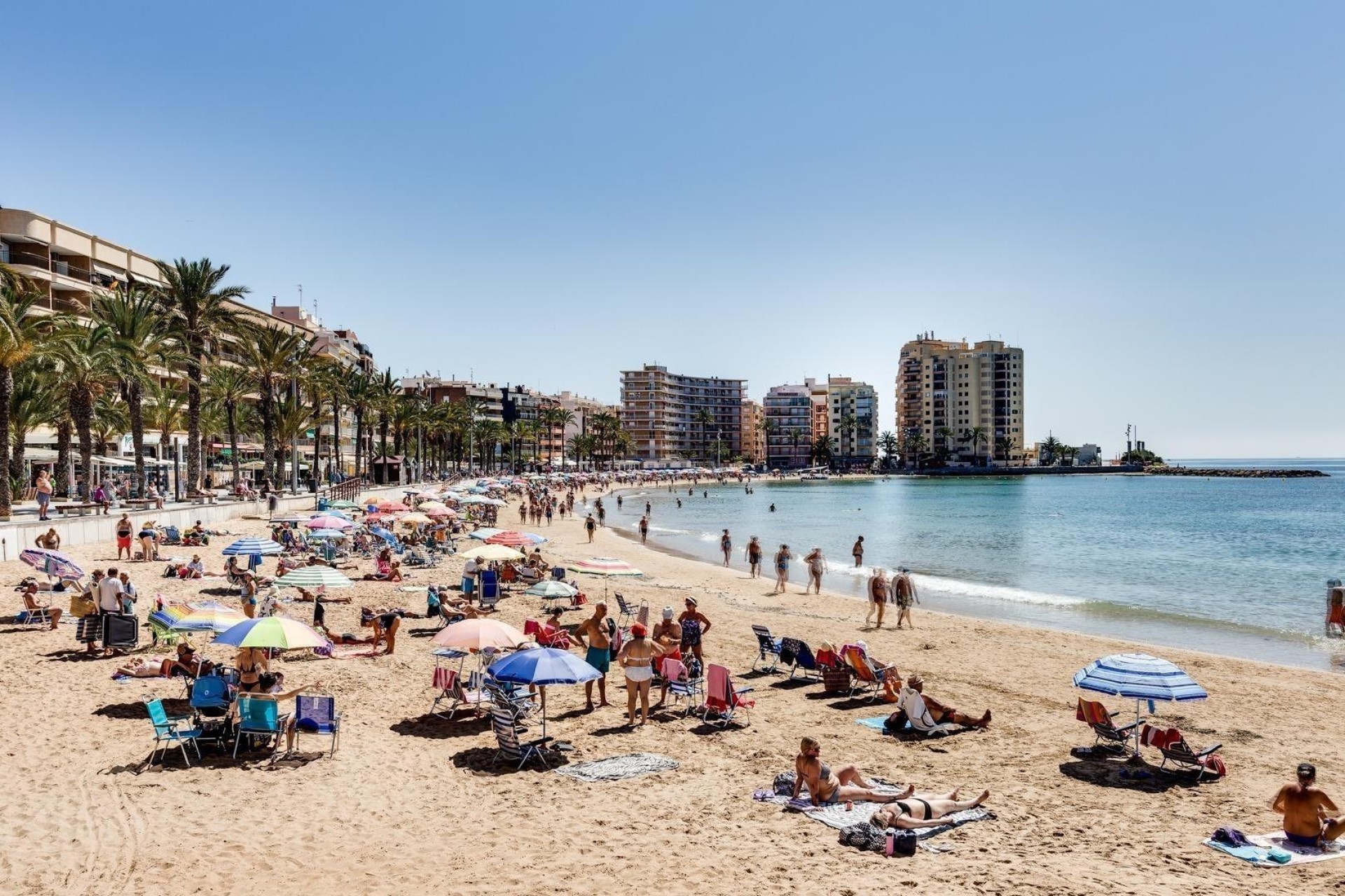 Revente - Appartement -
Torrevieja - Playa del Cura