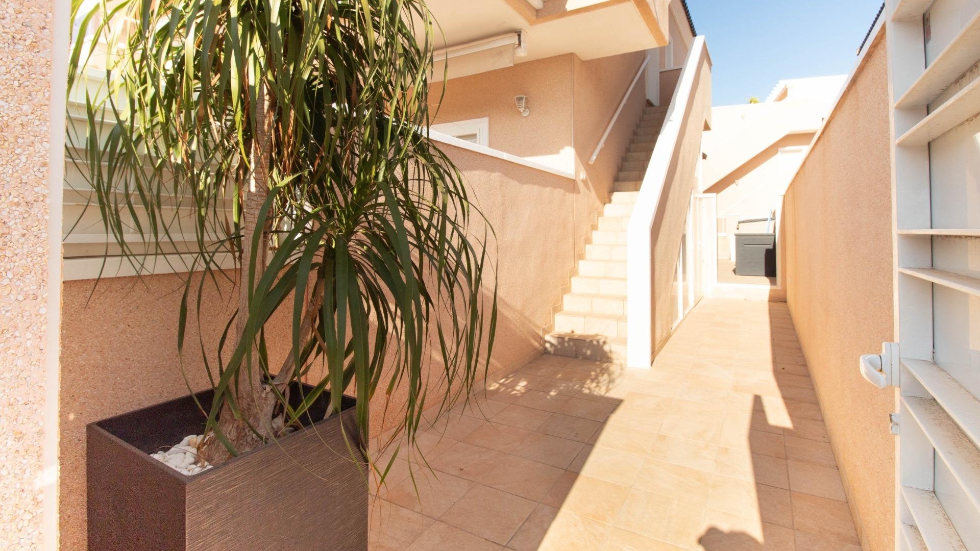 Revente - Appartement -
Torrevieja - Punta prima