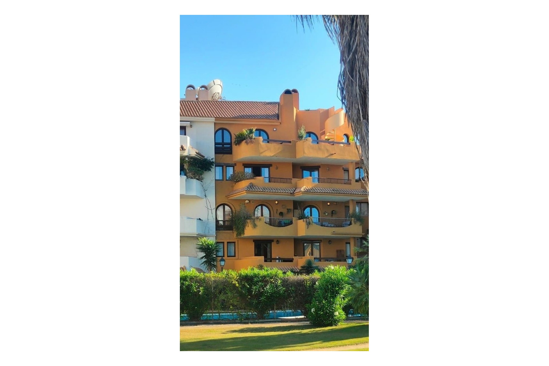 Revente - Appartement -
Torrevieja - Punta Prima