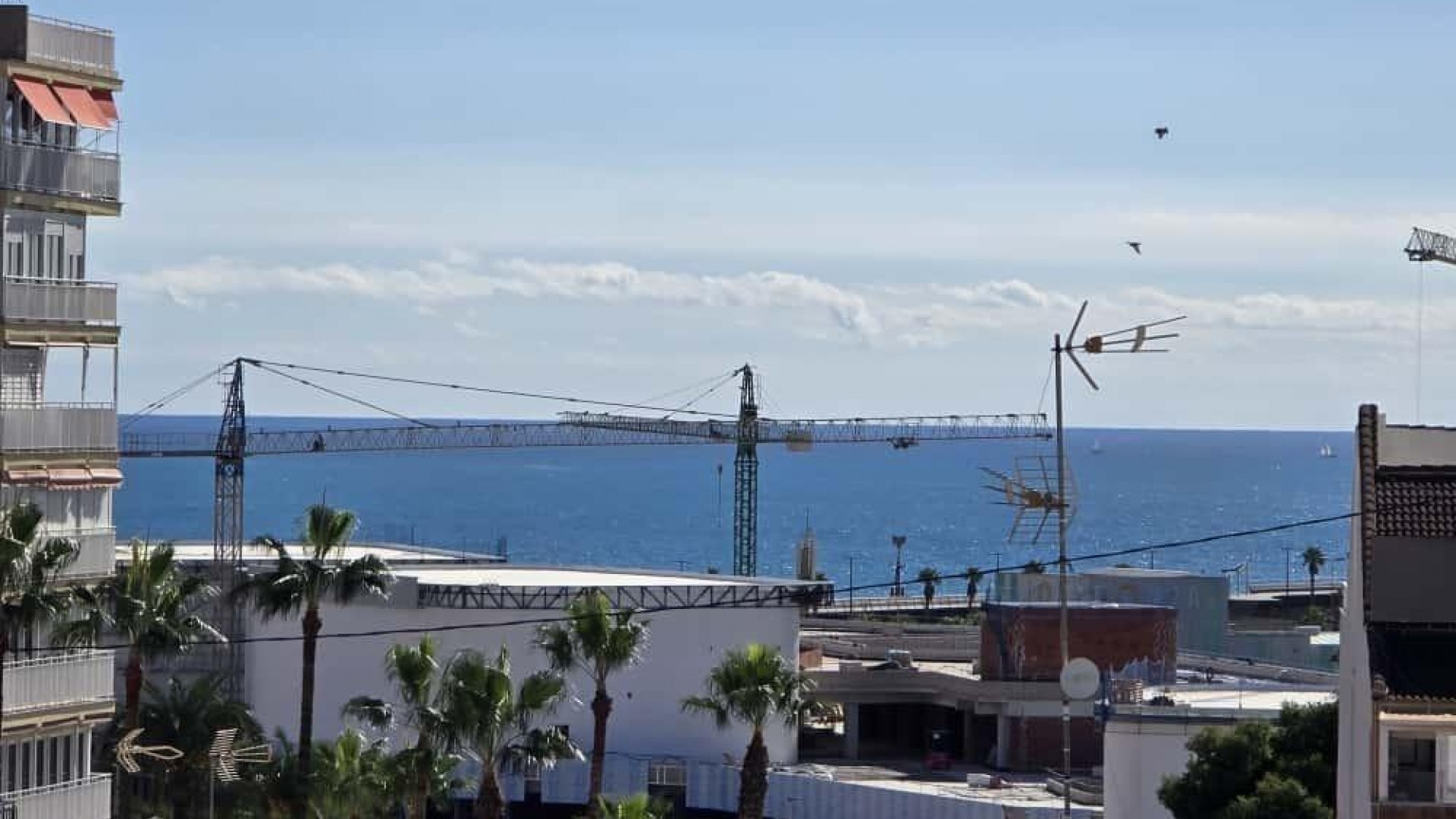 Revente - Appartement -
Torrevieja - torrevieja