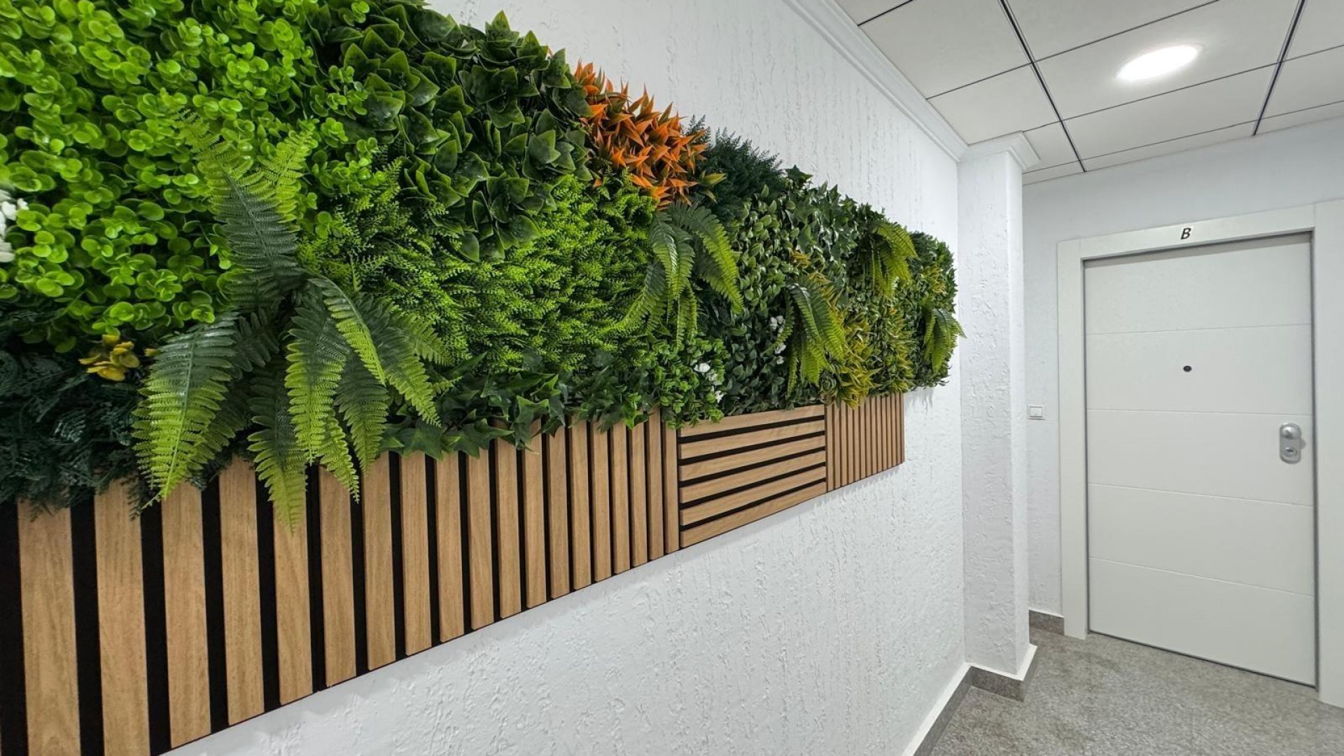 Revente - Appartement -
Torrevieja - torrevieja