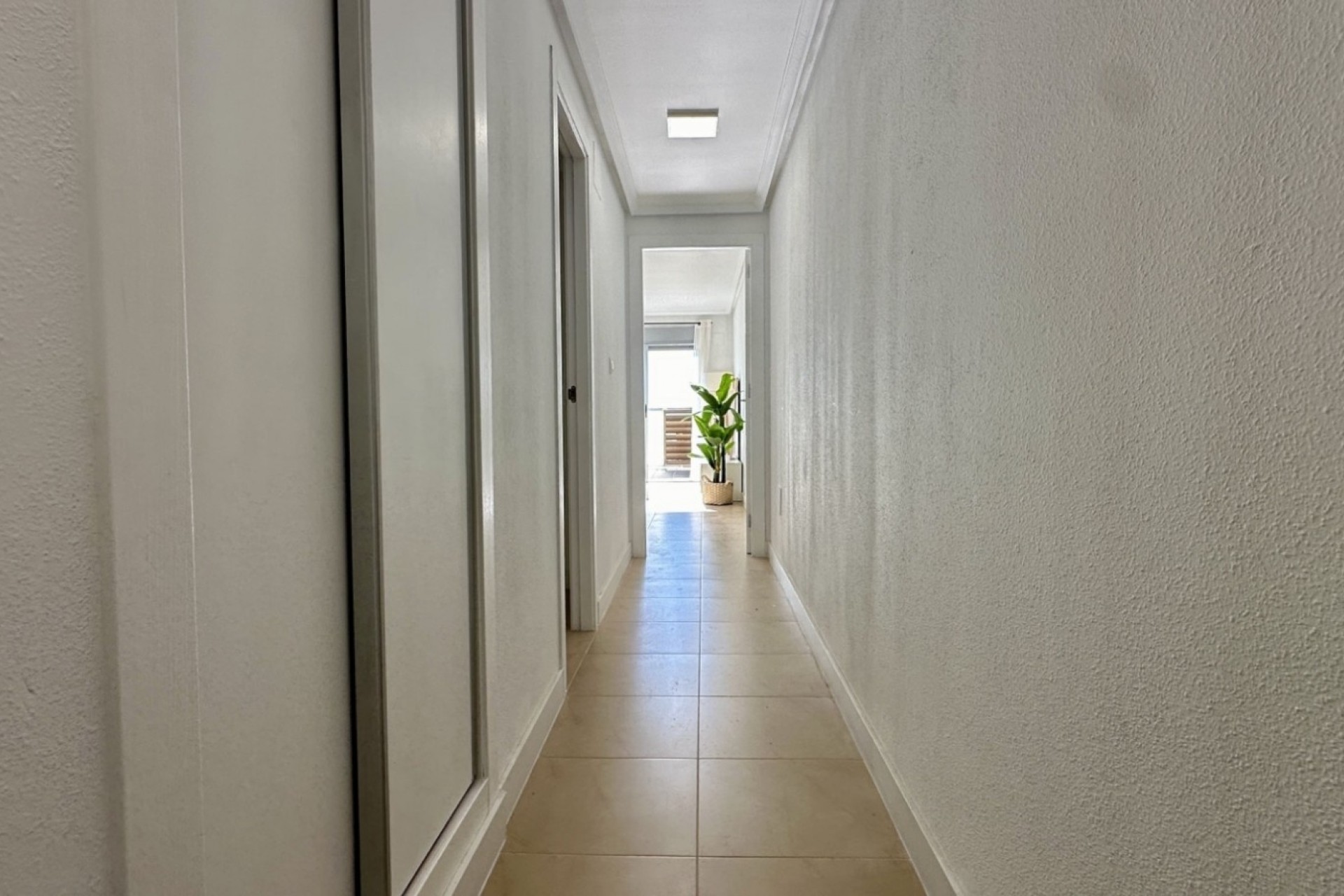 Revente - Appartement -
Torrevieja