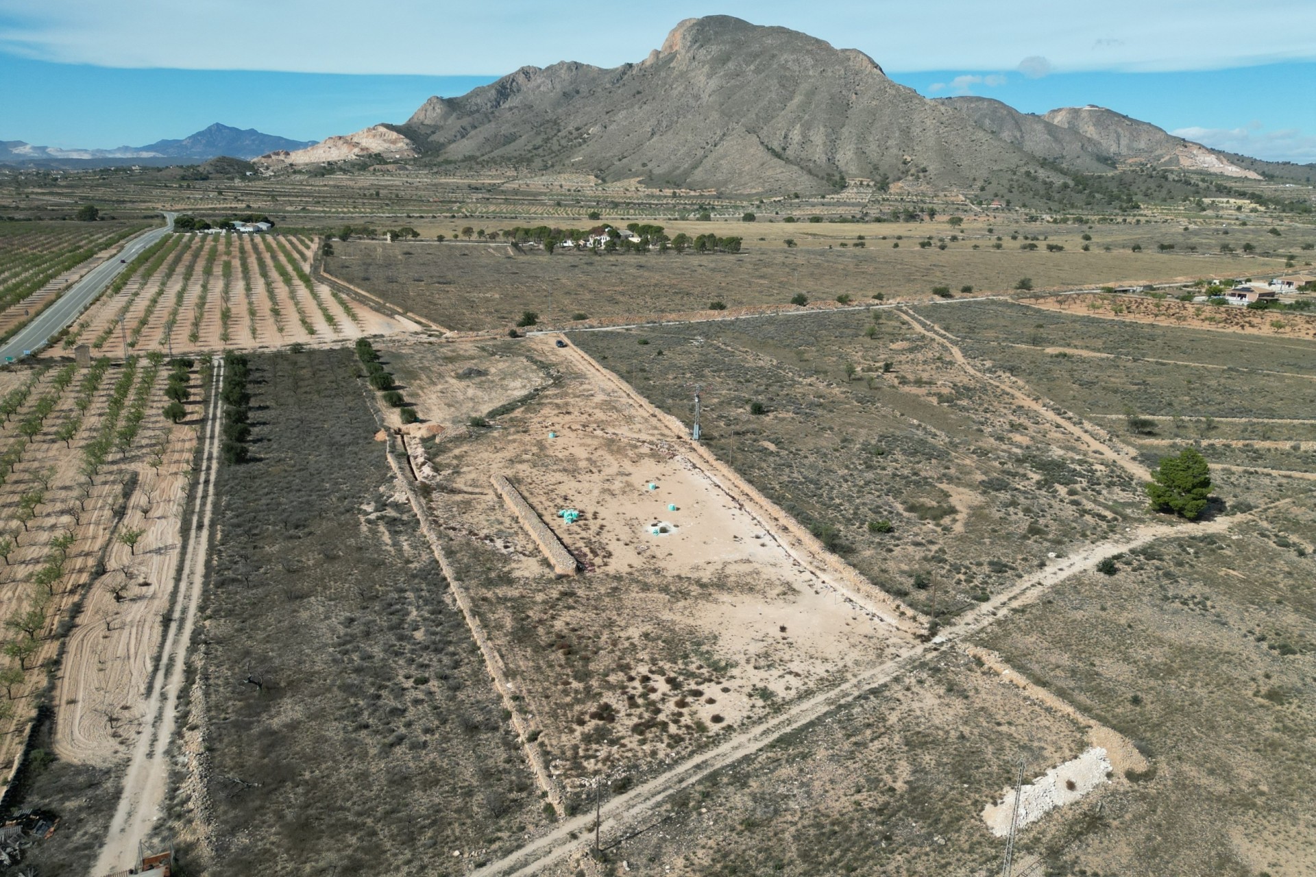 Revente -  -
Barbarroja