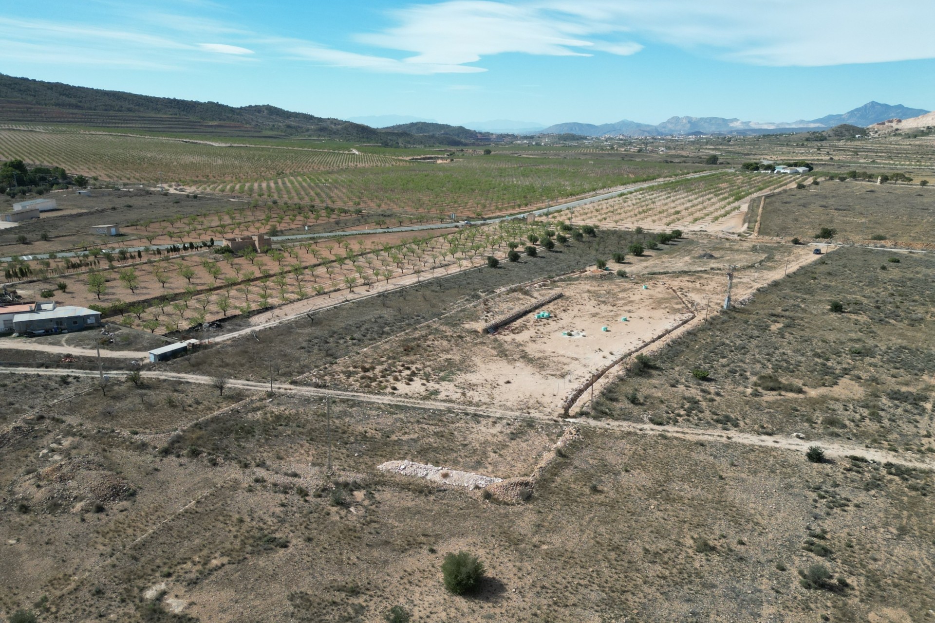 Revente -  -
Barbarroja