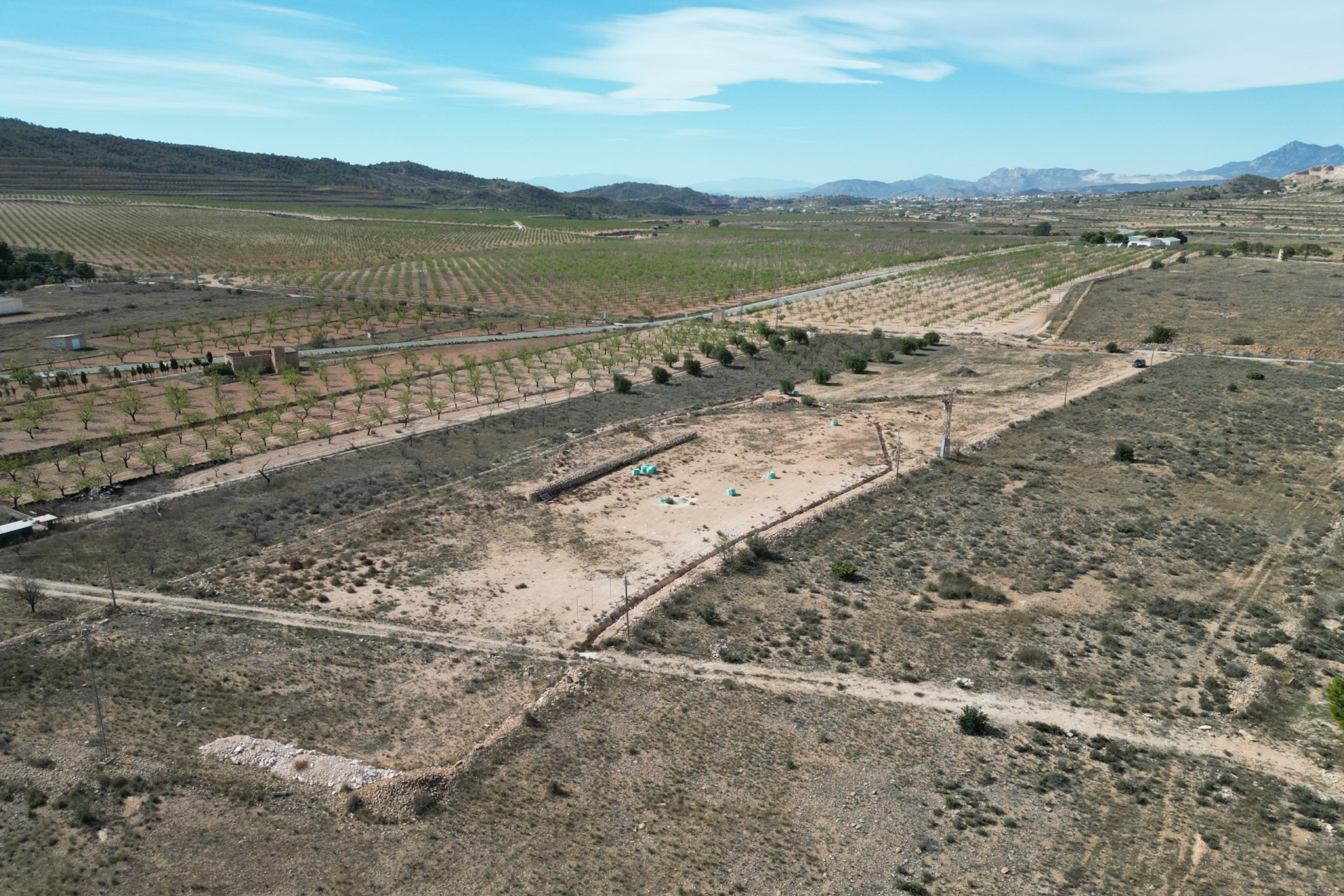 Revente -  -
Barbarroja