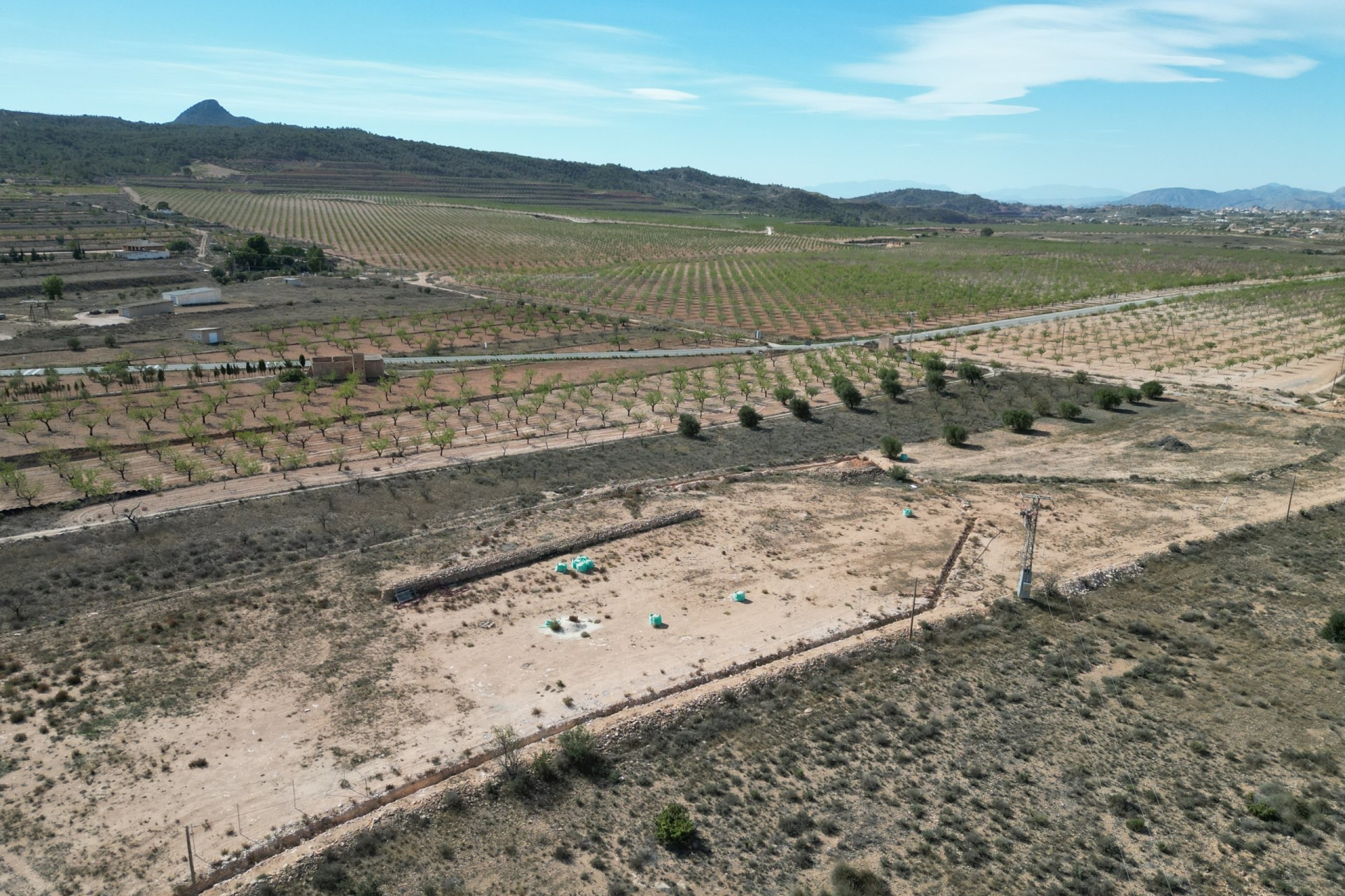 Revente -  -
Barbarroja