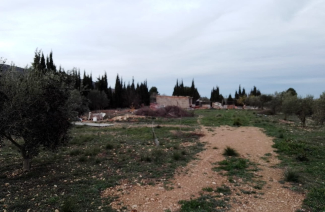 Revente -  -
Caudete