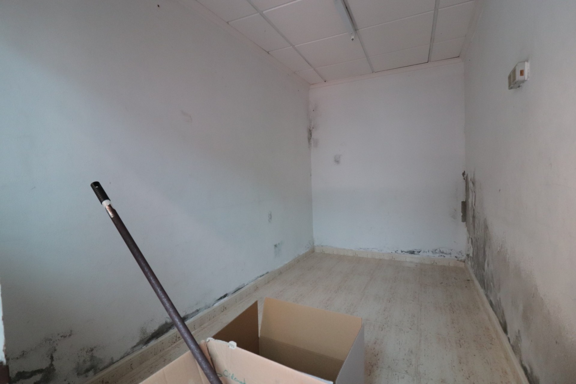 Revente - Commercial -
Benijofar - Benijofar - Village