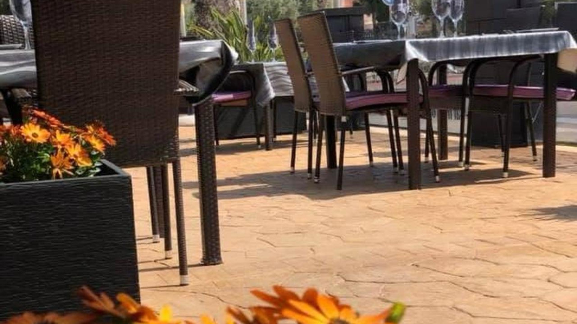 Revente - Commercial -
Guardamar del Segura - Guardamar