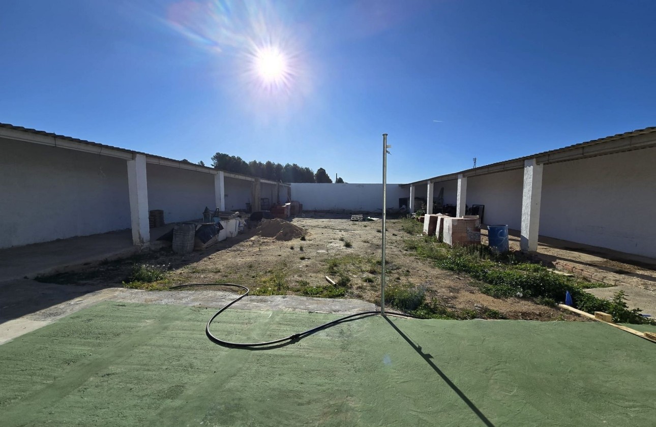 Revente - Commercial -
SAX