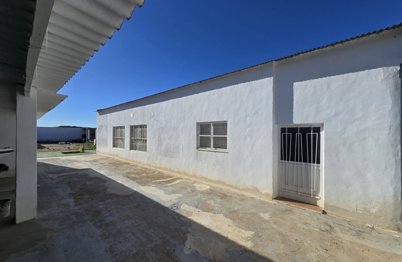 Revente - Commercial -
SAX