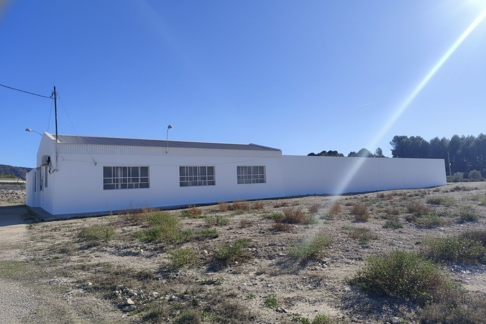 Revente - Commercial -
SAX