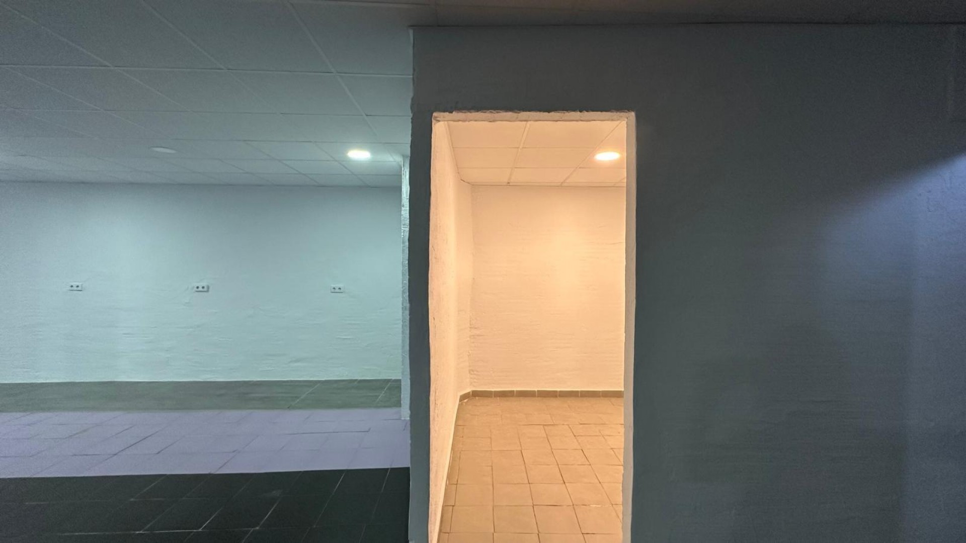 Revente - Commercial -
Torrevieja - Paseo maritimo