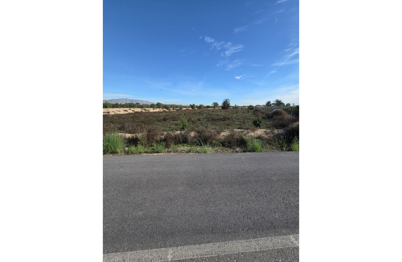 Revente - Finca Propriété rurale -
Albatera