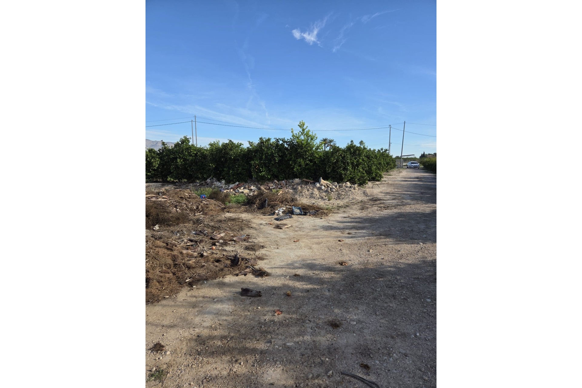 Revente - Finca Propriété rurale -
Albatera