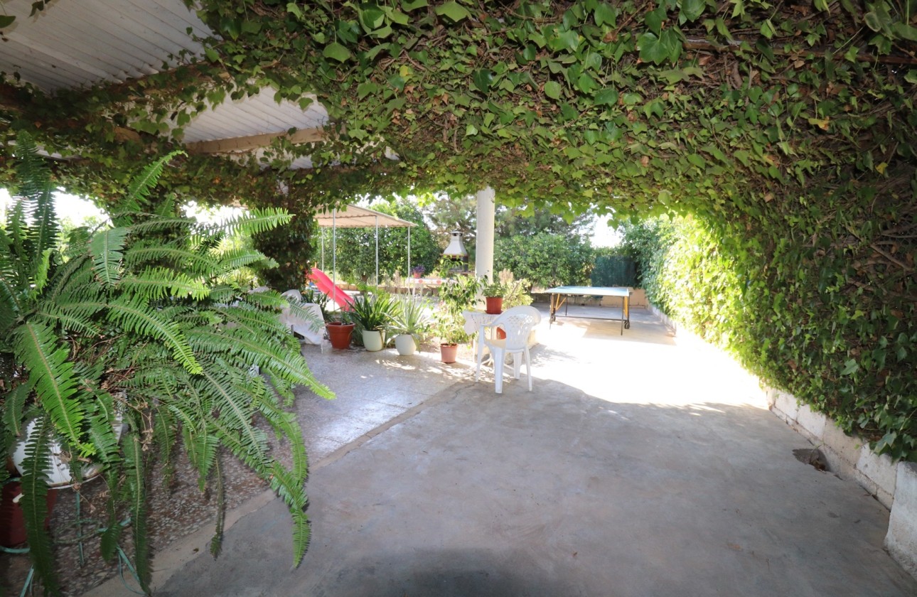 Revente - Finca Propriété rurale -
Albatera