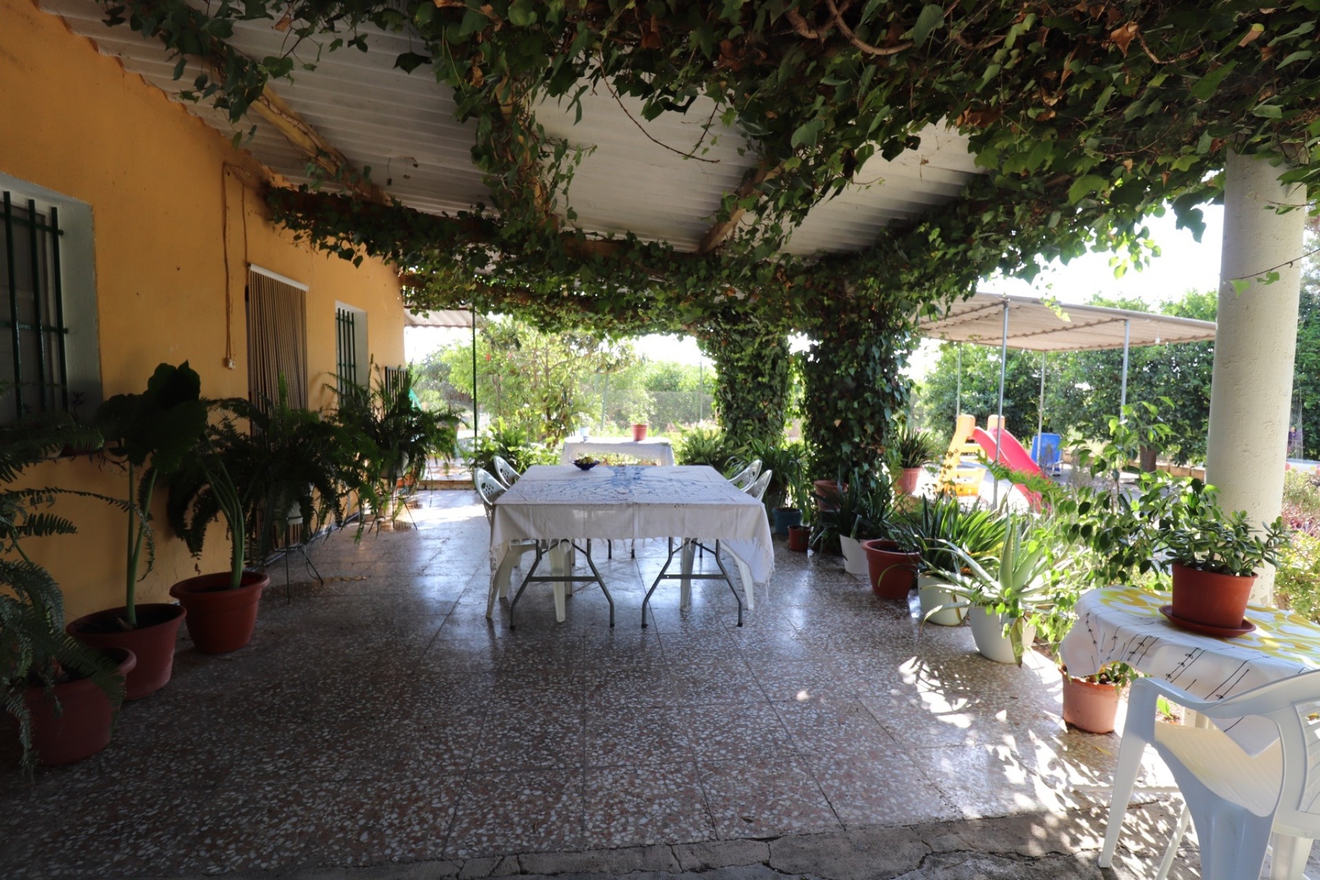 Revente - Finca Propriété rurale -
Albatera