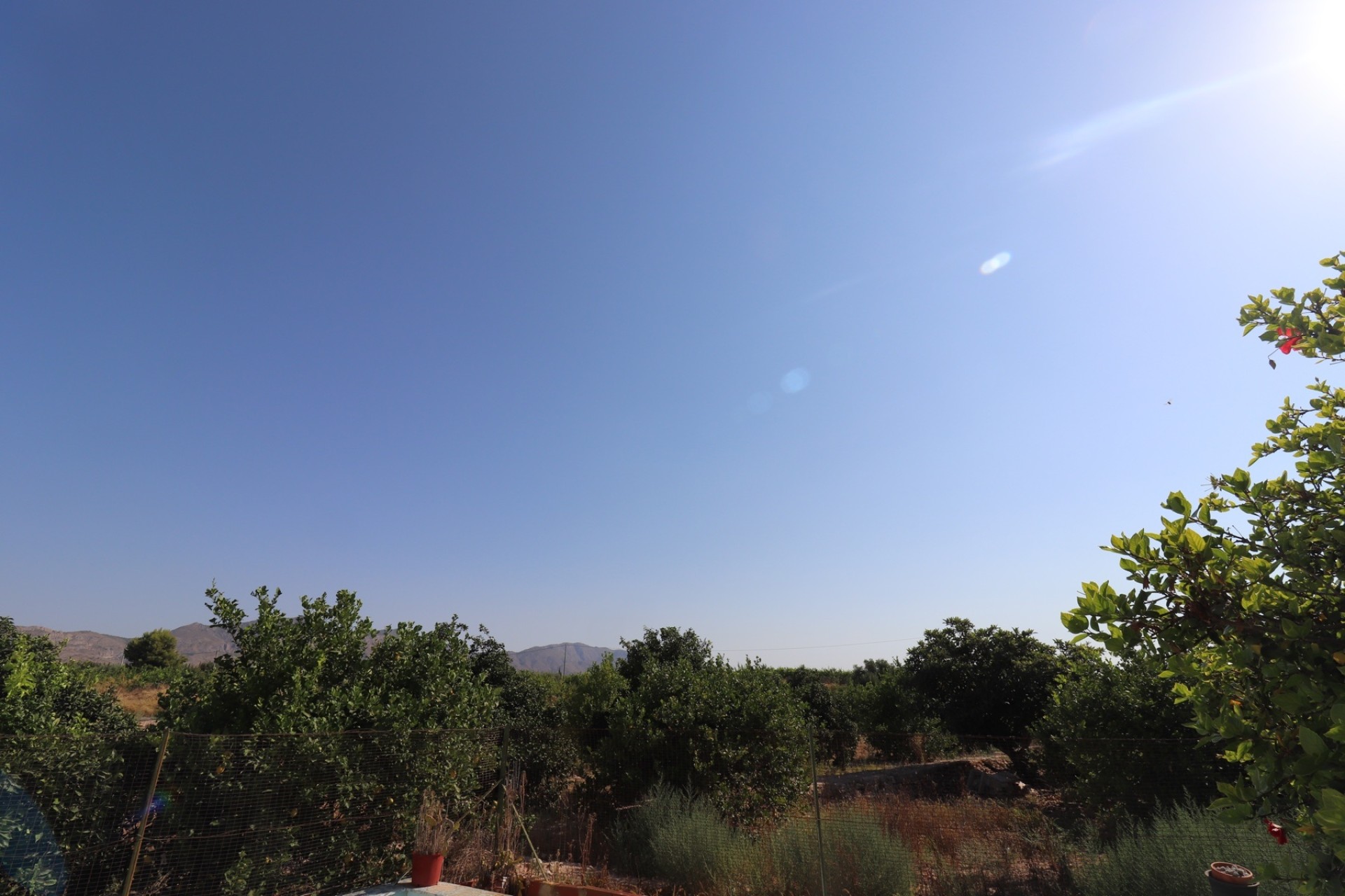 Revente - Finca Propriété rurale -
Albatera