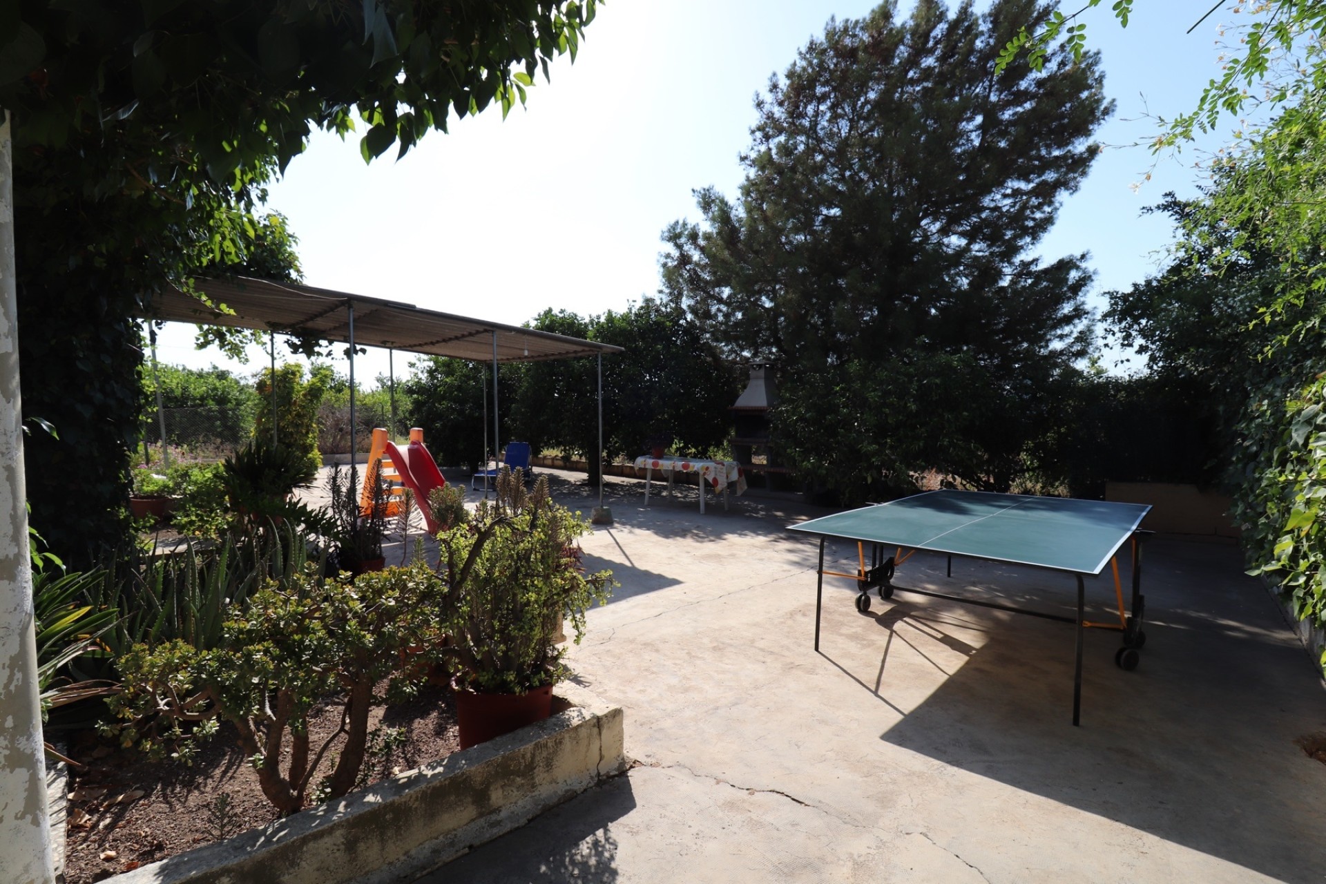 Revente - Finca Propriété rurale -
Albatera