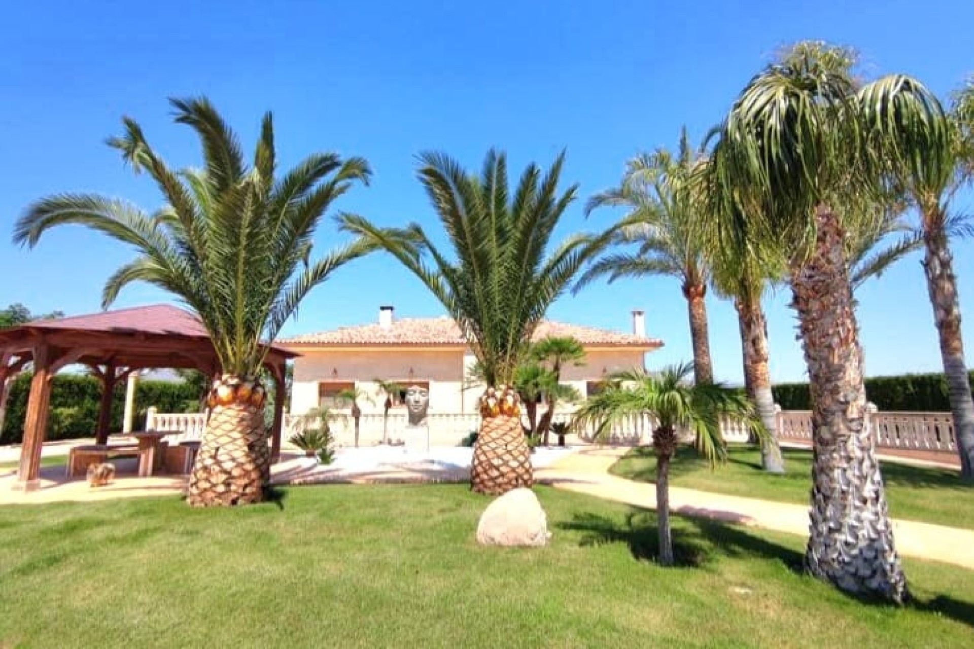 Revente - Finca / Propriété rurale -
Aspe