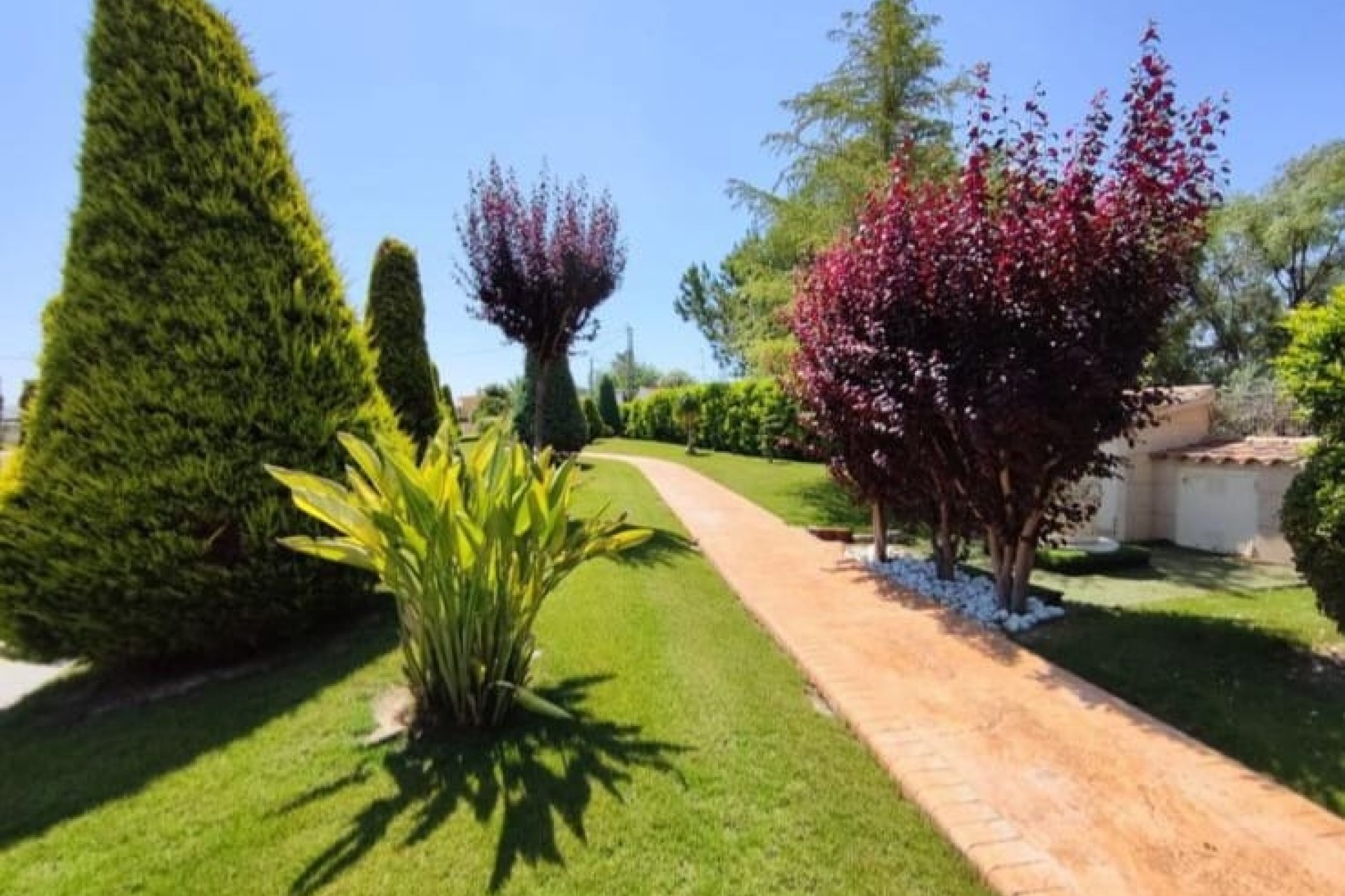 Revente - Finca / Propriété rurale -
Aspe