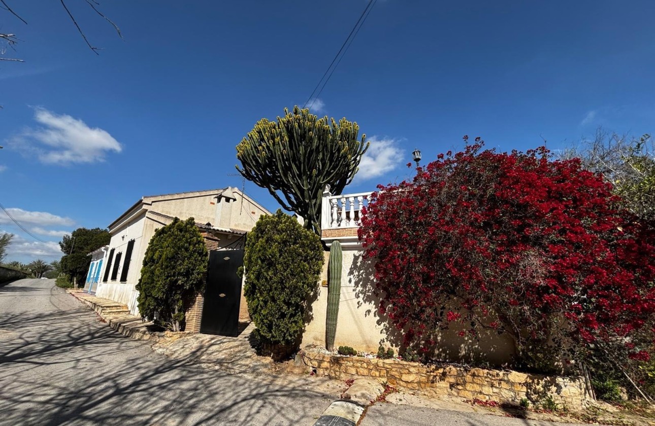 Revente - Finca Propriété rurale -
Benejúzar