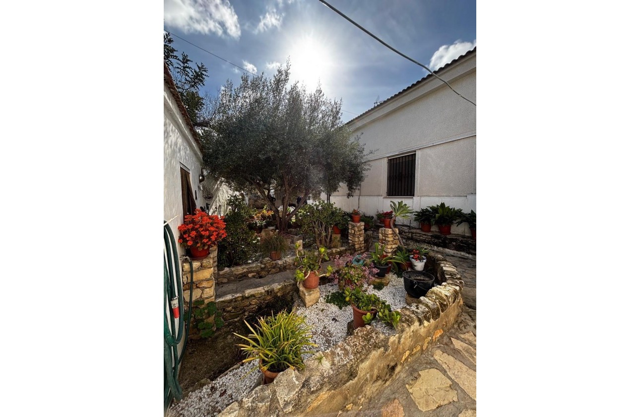 Revente - Finca Propriété rurale -
Benejúzar